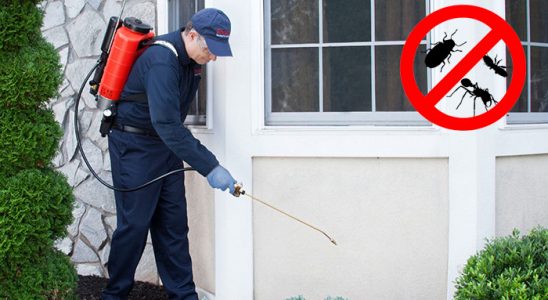 Doğubayazıt Böcek ve Haşere İlaçlama böcek ilaçlama ve haşere kontrolü — ilaclama-tr.com